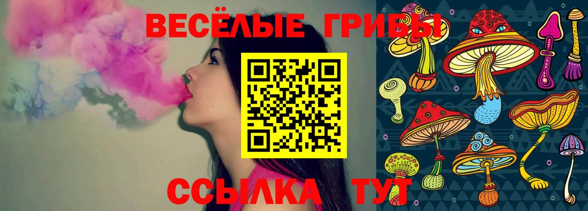 Дагестанские Огни  Галлюциногенные грибы мицелий  Вход с VPN  Псилоцибиновые грибы Psilocybine cubensis 